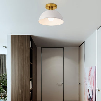 Modern Semi-Flush Ceiling Lamp | Matte Metal Finish